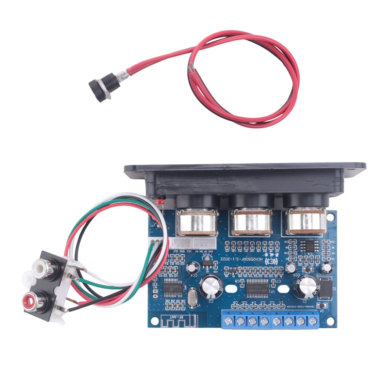 2.1 Channel Bluetooth 5.0 Audi - đánh giá và giá Class D Amplifier