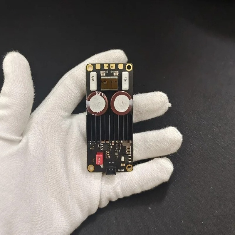 Fever digital amplifier, mono  - đánh giá và giá Class D Amplifier