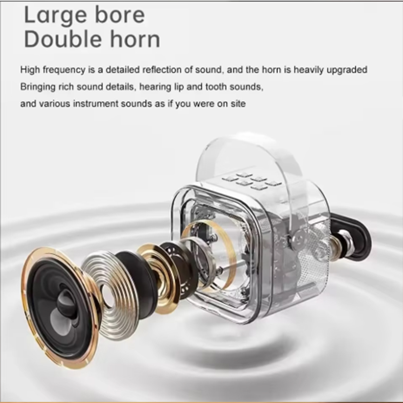K12 Karaoke Machine Portable B - đánh giá và giá Microphone Capsule