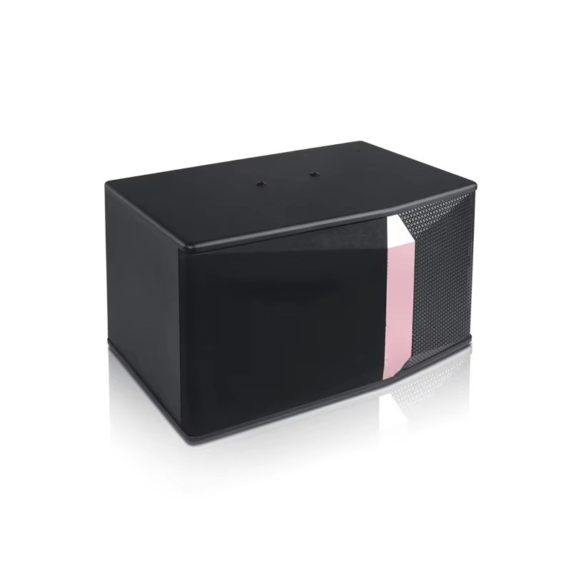 800W Peak Power 10 Inch Woofer - đánh giá và giá Woofer