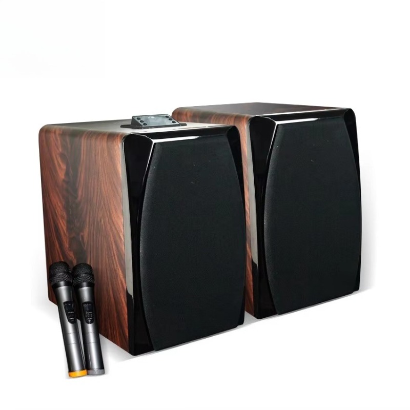 High Performance Active Karaok - đánh giá và giá Woofer
