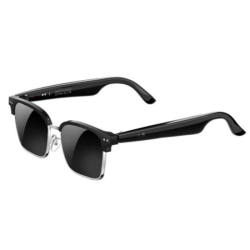 W100D AI Smart Glasses Real Ti - đánh giá và giá Speaker Enclosure