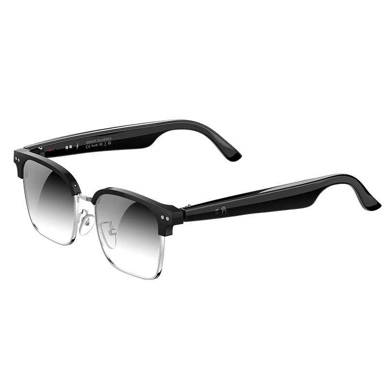 W100D AI Smart Glasses Real Ti - đánh giá và giá Speaker Enclosure