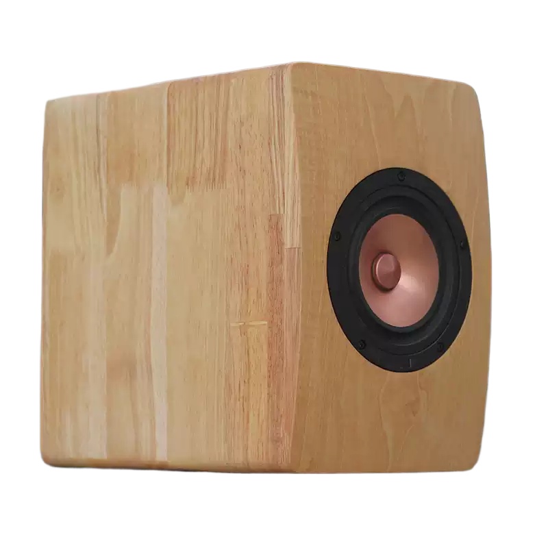 DZ‑06 5.25‑Inch Coaxial Speake - đánh giá và giá Speaker Driver