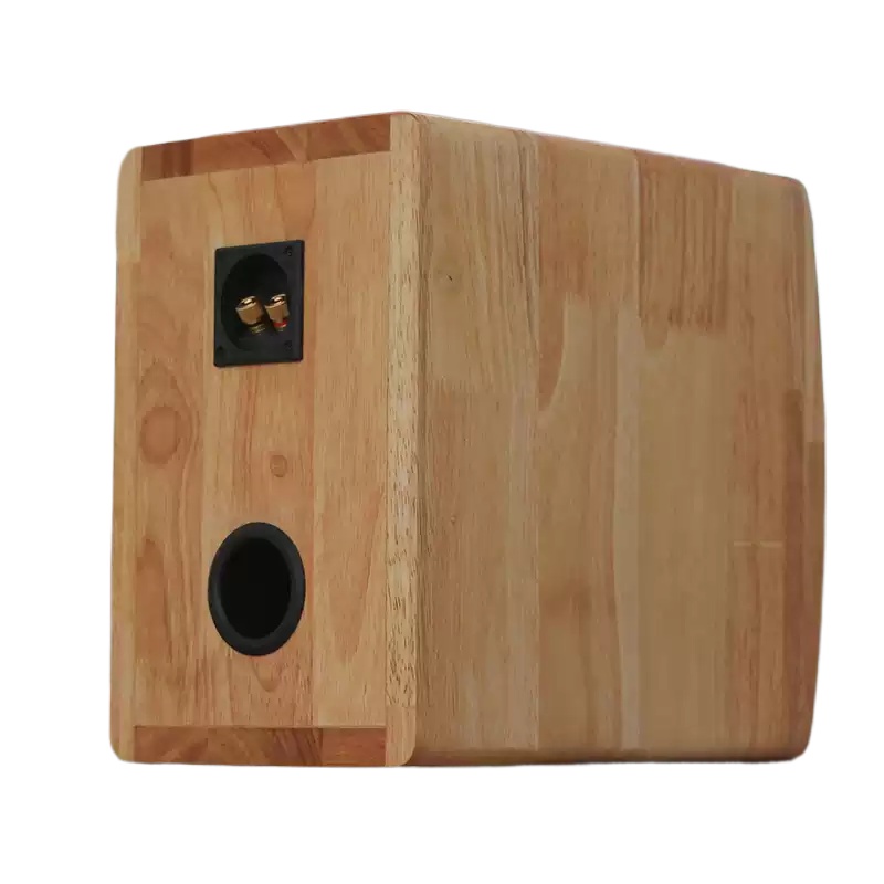 DZ‑06 5.25‑Inch Coaxial Speake - đánh giá và giá Speaker Driver